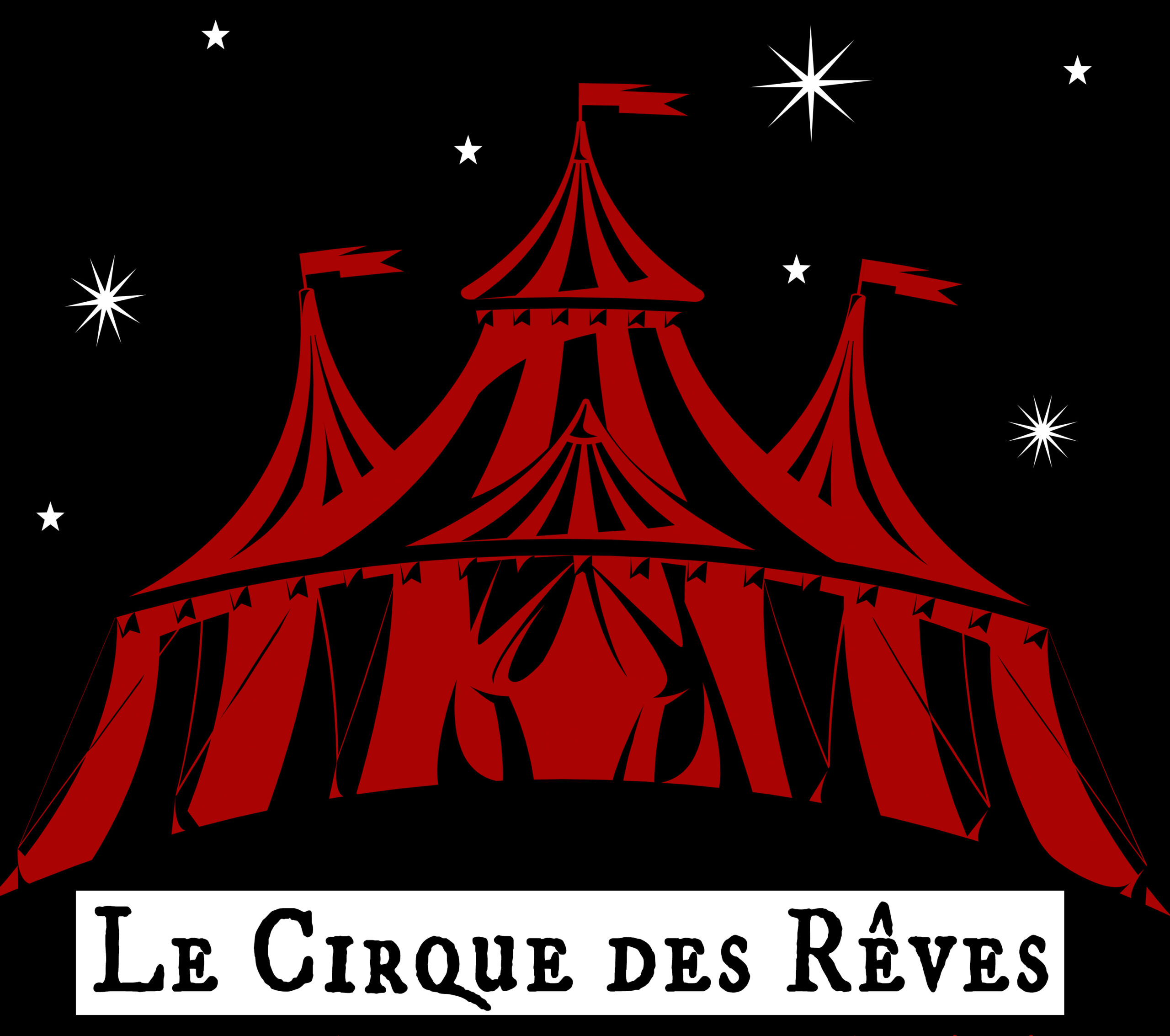 Le Cirque des Reves matinee